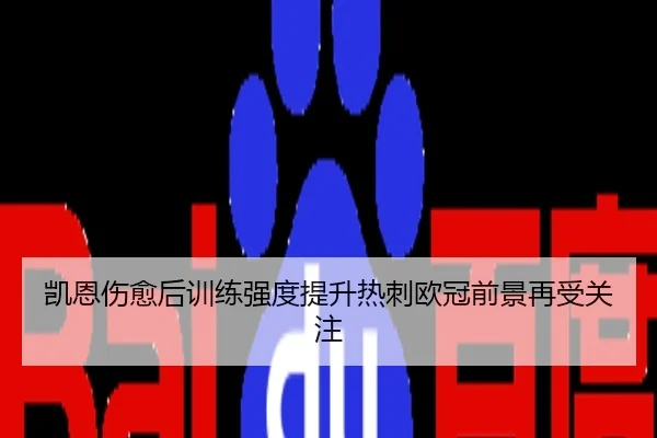 凯恩伤愈后训练强度提升热刺欧冠前景再受关注