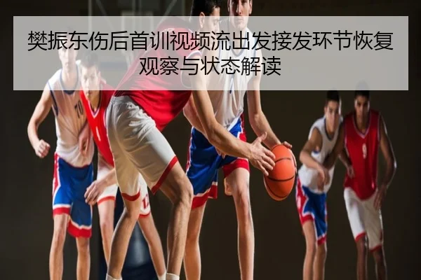 樊振东伤后首训视频流出发接发环节恢复观察与状态解读